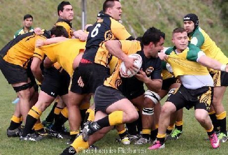 Rugby Festival matches at Porirua Park tomorrow